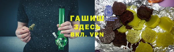 гашик Алексеевка
